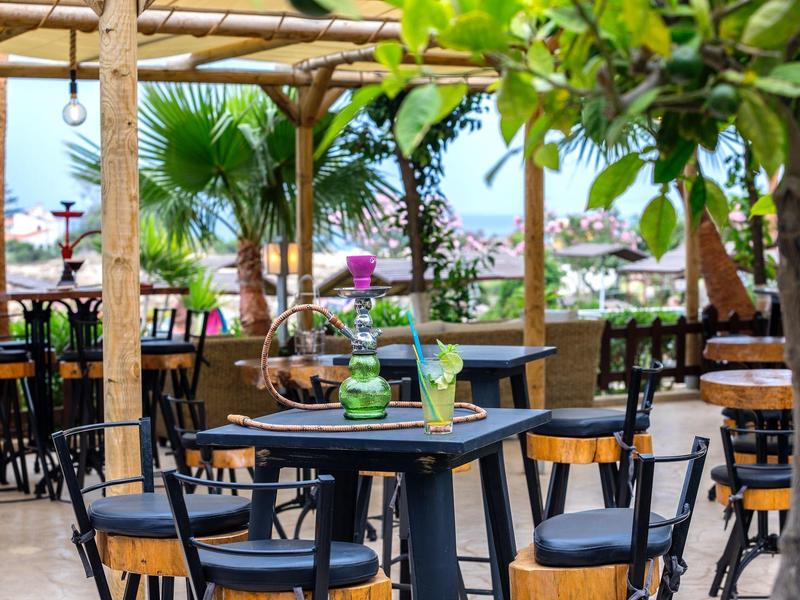 Terrasse de café avec tables, chaises et plantes vertes en plein air au bord de la mer.
