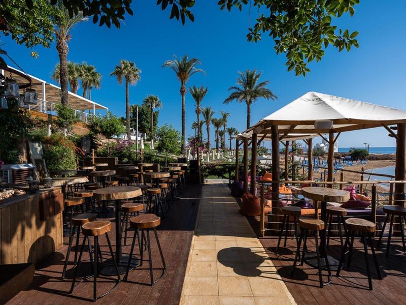 Espace extérieur ouvert d'un bar de plage avec tables, chaises et palmiers sous un ciel clair.