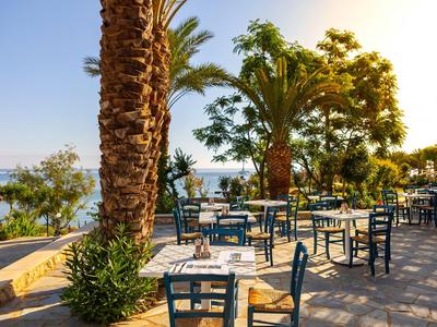 Sonnige Terrasse mit blauen Stühlen und Tischen nahe Palmen und Meerblick.