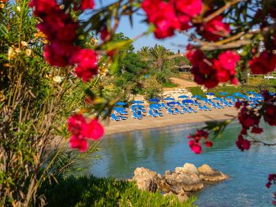 Blick durch rote Blumen auf einen Strand mit blauen Liegestühlen und türkisfarbenem Wasser.