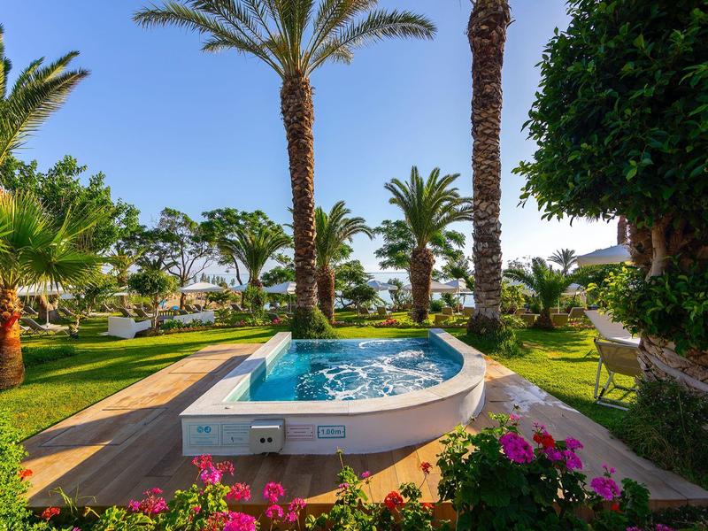 Bain à remous dans un jardin avec des palmiers et des fleurs sous un ciel clair.
