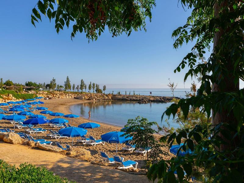 Vue sur une plage avec des chaises longues bleues et un ciel clair au bord de la mer.