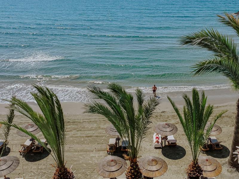 Strand mit Palmenreihen, Sand und ruhigem blau-grünem Meer im Hintergrund.