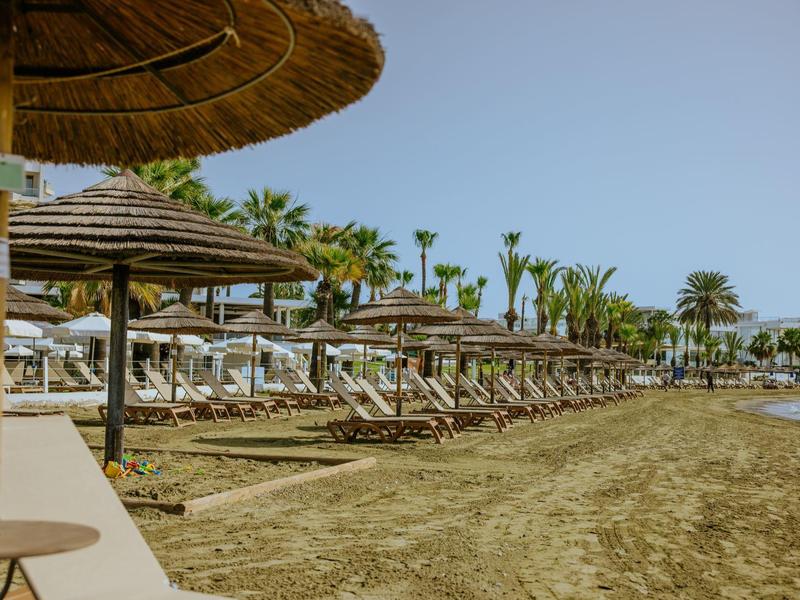 Langer Sandstrand mit Palmen und vielen Liegestühlen unter Strohhächern bei klarem Himmel.