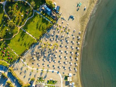 Aerial view of a beach with organized umbrellas and sunbeds beside clear water and grassy area.