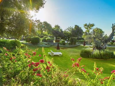 Sunny garden with green grass, red flowers, and white lounge chairs under trees.