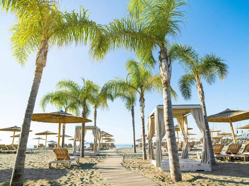 Beach pathway lined with palm trees and sunbeds under umbrellas, leading to the sea.