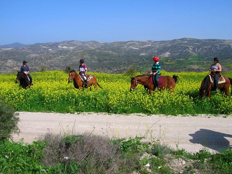 Vier Personen reiten bei sonnigem Wetter auf Pferden durch eine grüne Wiese mit gelben Blumen.