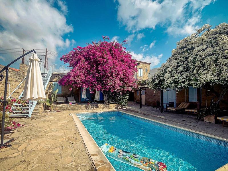 Terrasse mit Pool, blühenden Bäumen und Liegestühlen unter blauem Himmel.