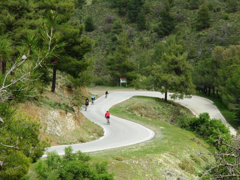 Gemütliches Wohnzimmer mit beigem Sofa, rotem Kissen, Steinwand und religiösem Wandbild.