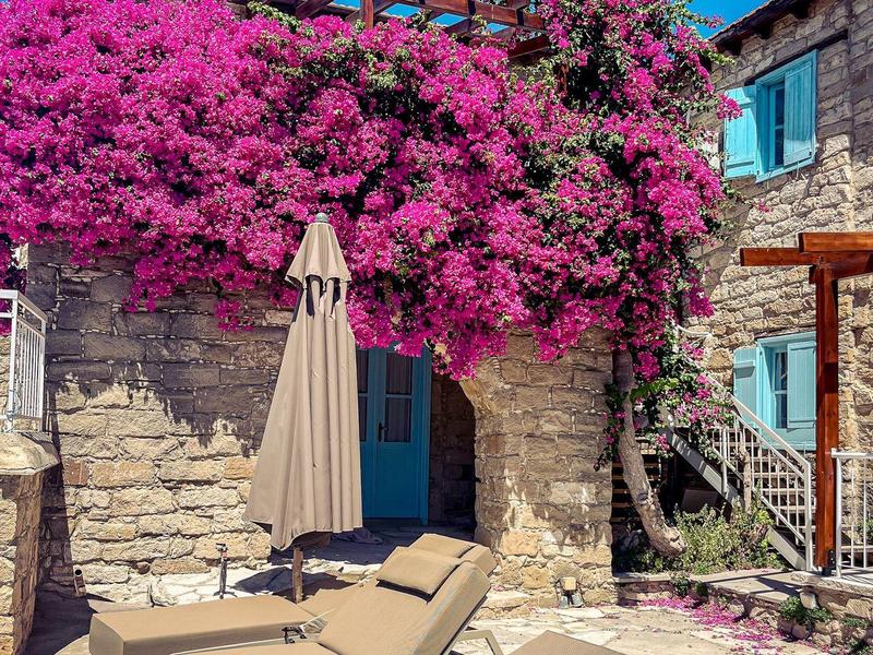 Zwei Liegestühle und ein Sonnenschirm vor Steinmauer mit blühendem pinkfarbenem Bougainvillea.