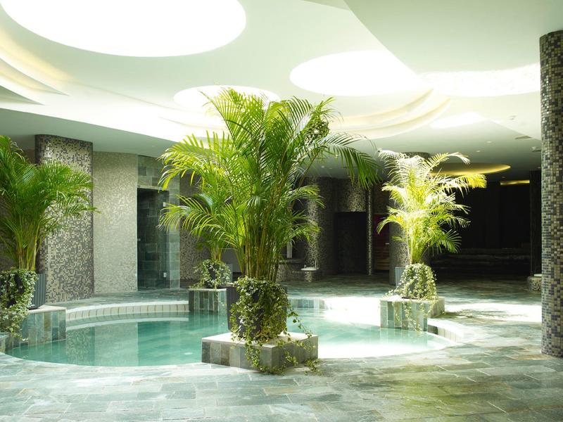 Espace intérieur avec piscines rondes et grandes plantes, ambiance spa moderne.