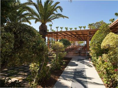 Ein Weg führt zur Terrasse eines Hauses, umgeben von Palmen und üppigem Grün bei klarem Himmel.
