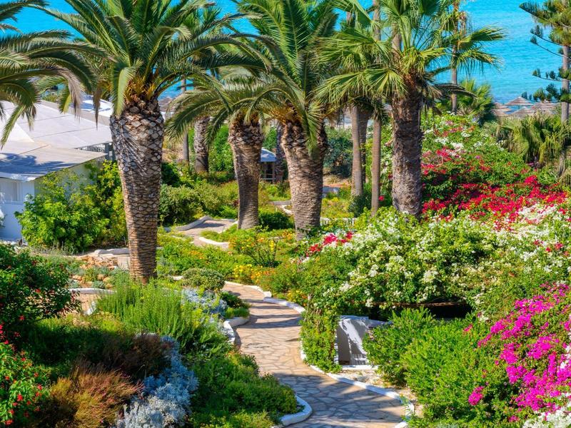 Bunte Blumen und Palmen säumen einen steinigen Gartenweg mit Blick auf das blaue Meer.