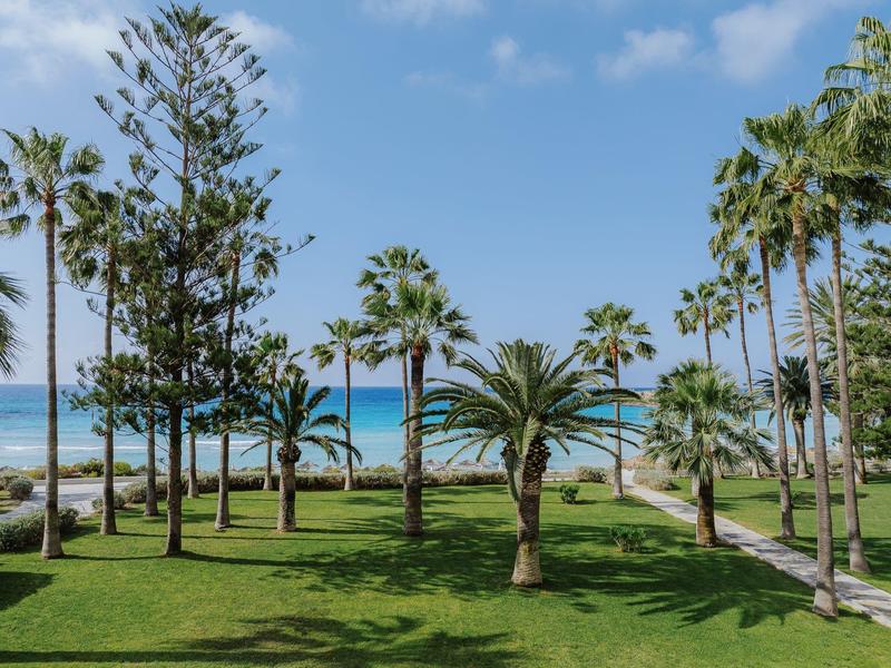 Grüner Park mit Palmen und Blick auf das blaue Meer unter blauem Himmel.