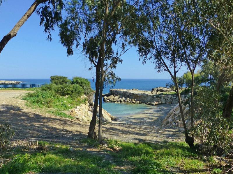 View through trees to a small bay with clear water and rocks along the shore.