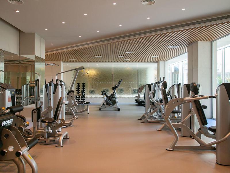 Heller Fitnessraum mit modernen Trainingsgeräten, großen Fenstern und Holzdecke.