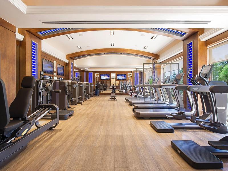 Interior view of a gym with treadmills and exercise machines in a hotel.