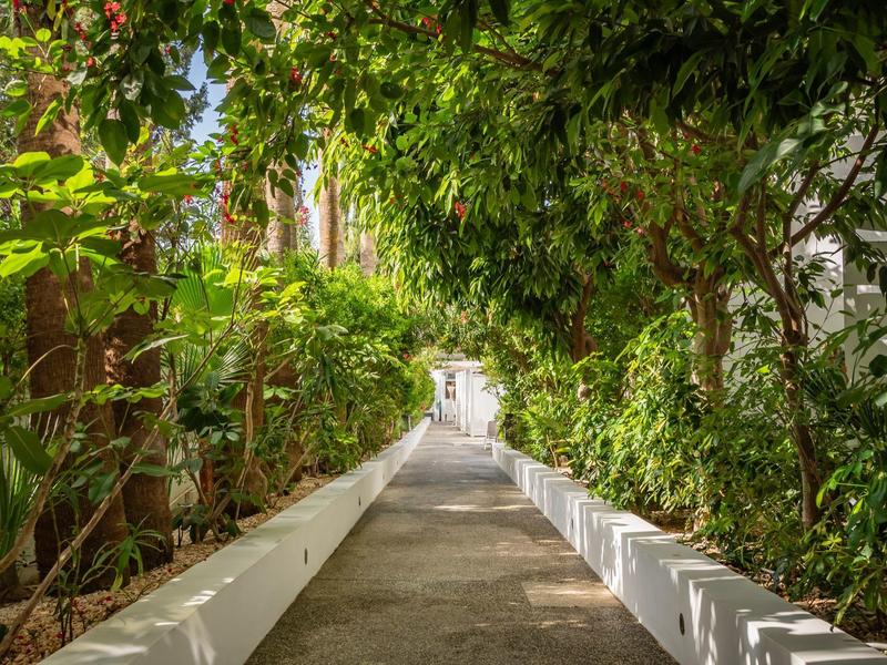 Schmaler Weg mit weißen Mauern, umgeben von grünem, dichtem Laub unter blauem Himmel.