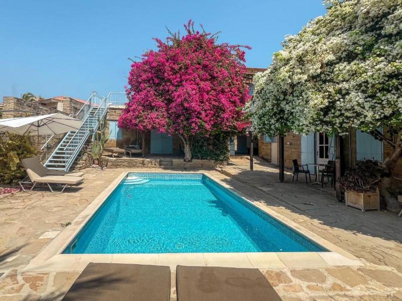 Pool mit blühenden Bäumen und Terrasse in sonnigem Gartenbereich