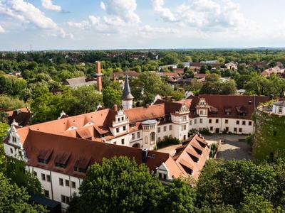 Aerial view of a historic castle with red roofs surrounded by greenery and a town in the background