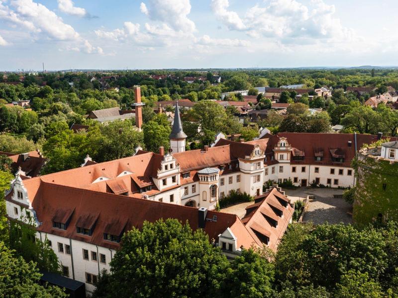 Aerial view of a historic castle with red roofs surrounded by greenery and a town in the background