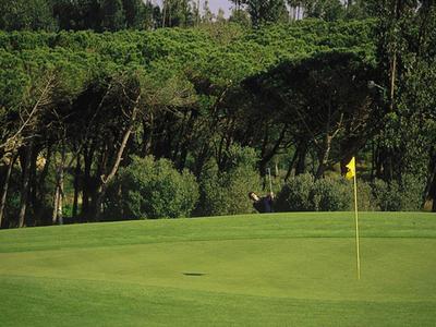 Grünes Golfplatz-Setting mit Fahne und Bäumen im Hintergrund