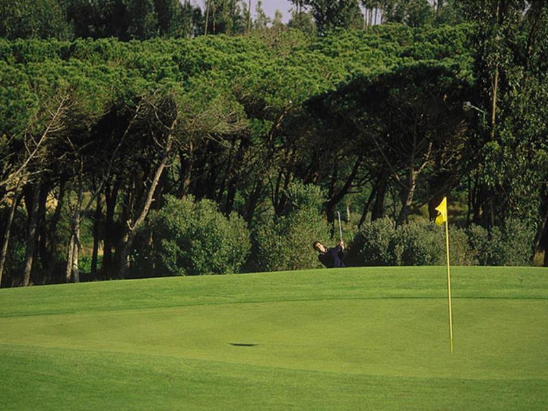 Zelené golfové hřiště s vlajkou a stromy v pozadí.