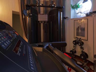 Kleines Fitnessstudio mit Kardio- und Kraftgeräten in einem gemütlichen Raum mit Fenster.