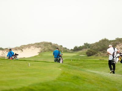 Golfiści z torbami grają na zielonym polu golfowym przy pochmurnym niebie.