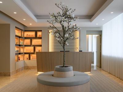 Nowoczesna recepcja hotelowa z drzewem na środku i podświetlanymi półkami w tle