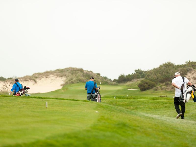 Golfiści z torbami grają na zielonym polu golfowym przy pochmurnym niebie.