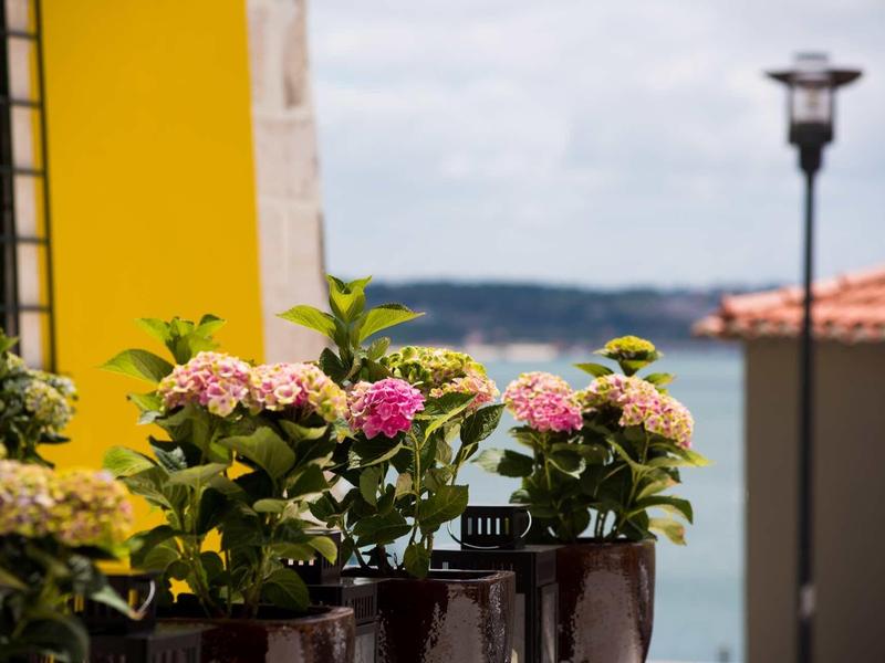 Barevné květiny v květináčích na zábradlí s výhledem na vodu.