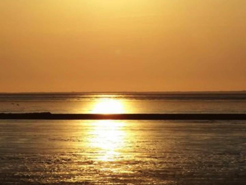 Sonnenuntergang über ruhigem Meer, goldene Reflexionen auf glatter Wasseroberfläche.