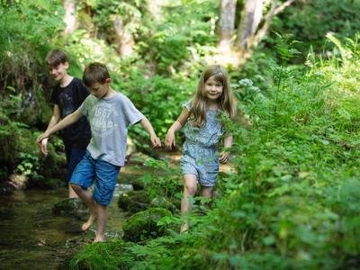 Drei Kinder in Sommerkleidung überqueren einen kleinen Bach in einem grünen Wald.