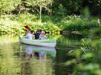 Drei Personen in einem Kanu fahren auf einem ruhigen, bewaldeten See.