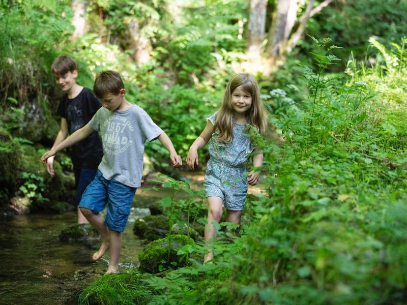 Drei Kinder in Sommerkleidung überqueren einen kleinen Bach in einem grünen Wald.