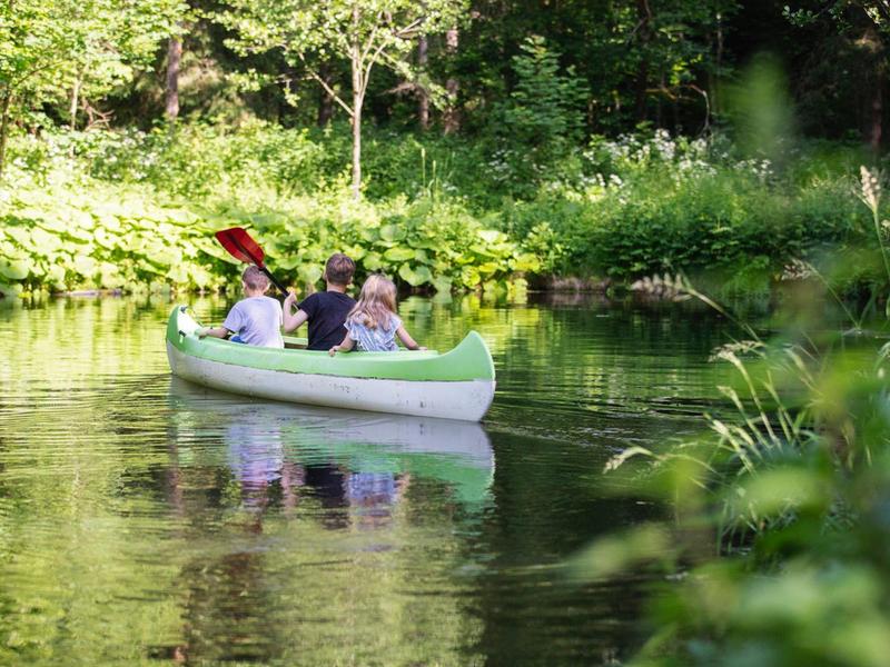 Vier Personen sitzen in einem hellgrünen Kanu auf ruhigem Wasser, umgeben von grüner Natur und Bäumen.