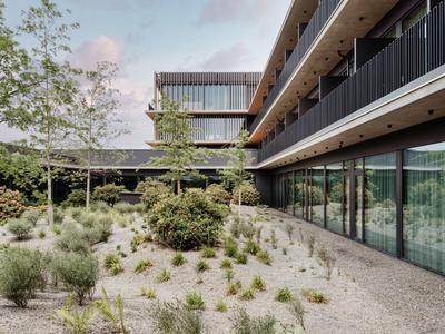 Cortile moderno dell'hotel con aree di ghiaia, piante e facciata in vetro alla luce del giorno.