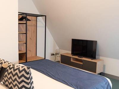 Camera semplice con soffitto inclinato, TV e armadio aperto