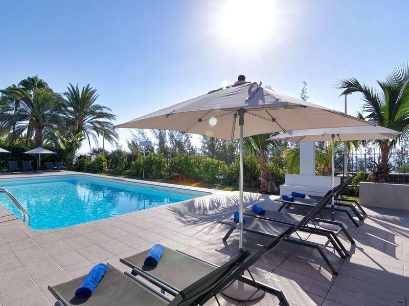 Pool area with lounge chairs and umbrellas, surrounded by palm trees under a clear sky.
