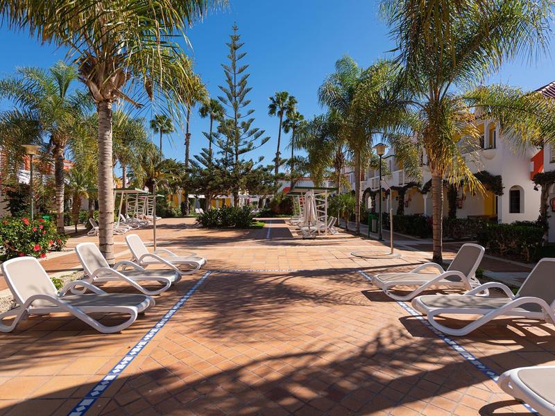 Tumbonas vacías en un área de piscina con palmeras y edificios bajo un cielo despejado.