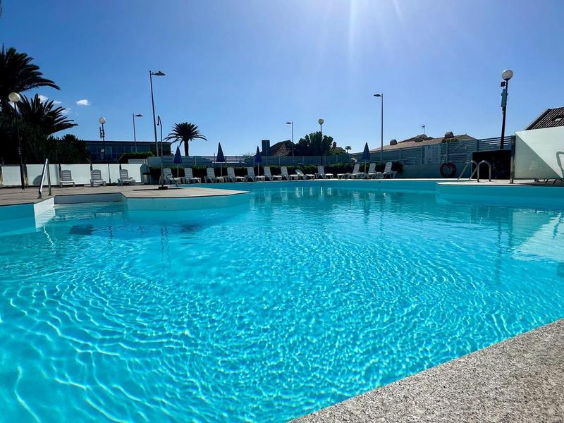 Piscina limpida sotto il sole con lettini bianchi e palme sullo sfondo.