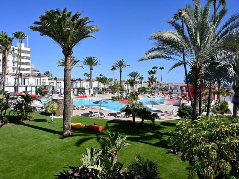 Giardino dell'hotel con palme verdi, prato ben curato e grande piscina con lettini.