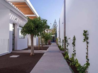 Modern walkway between white buildings with trees and plants along the side.