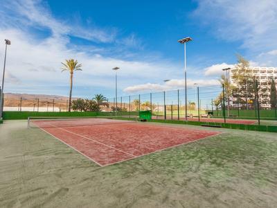 Ein leerer Tennisplatz mit rotem Sand, umgeben von grünem Zaun und Palmen unter blauem Himmel.