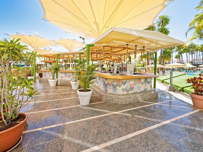 Bar all'aperto con ombrelloni e piante in vaso, ambiente luminoso e accogliente sotto un cielo blu.