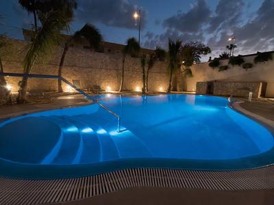 Illuminated swimming pool at night with palm trees and ambient lighting.