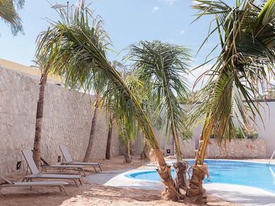 Area piscina con palme e lettini accanto ad alte mura di pietra e una recinzione alta.