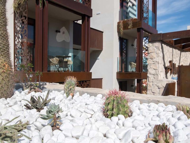Front garden with cacti and succulents among white stones, modern building in background